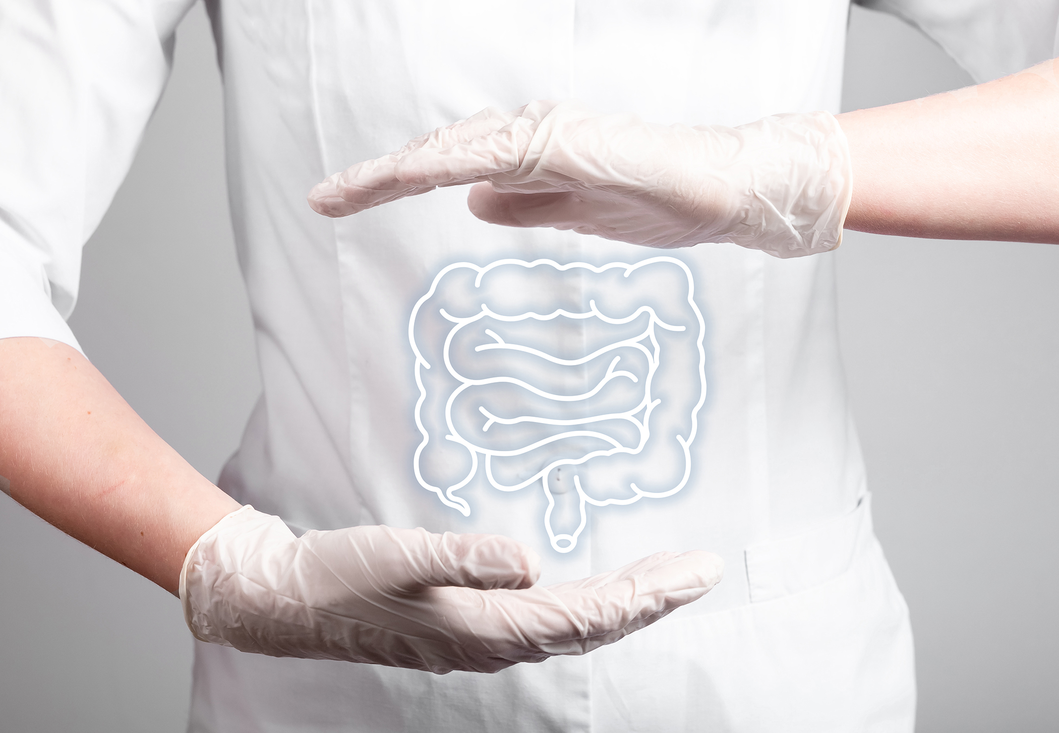 Intestine, colon, bowel in doctor hands.