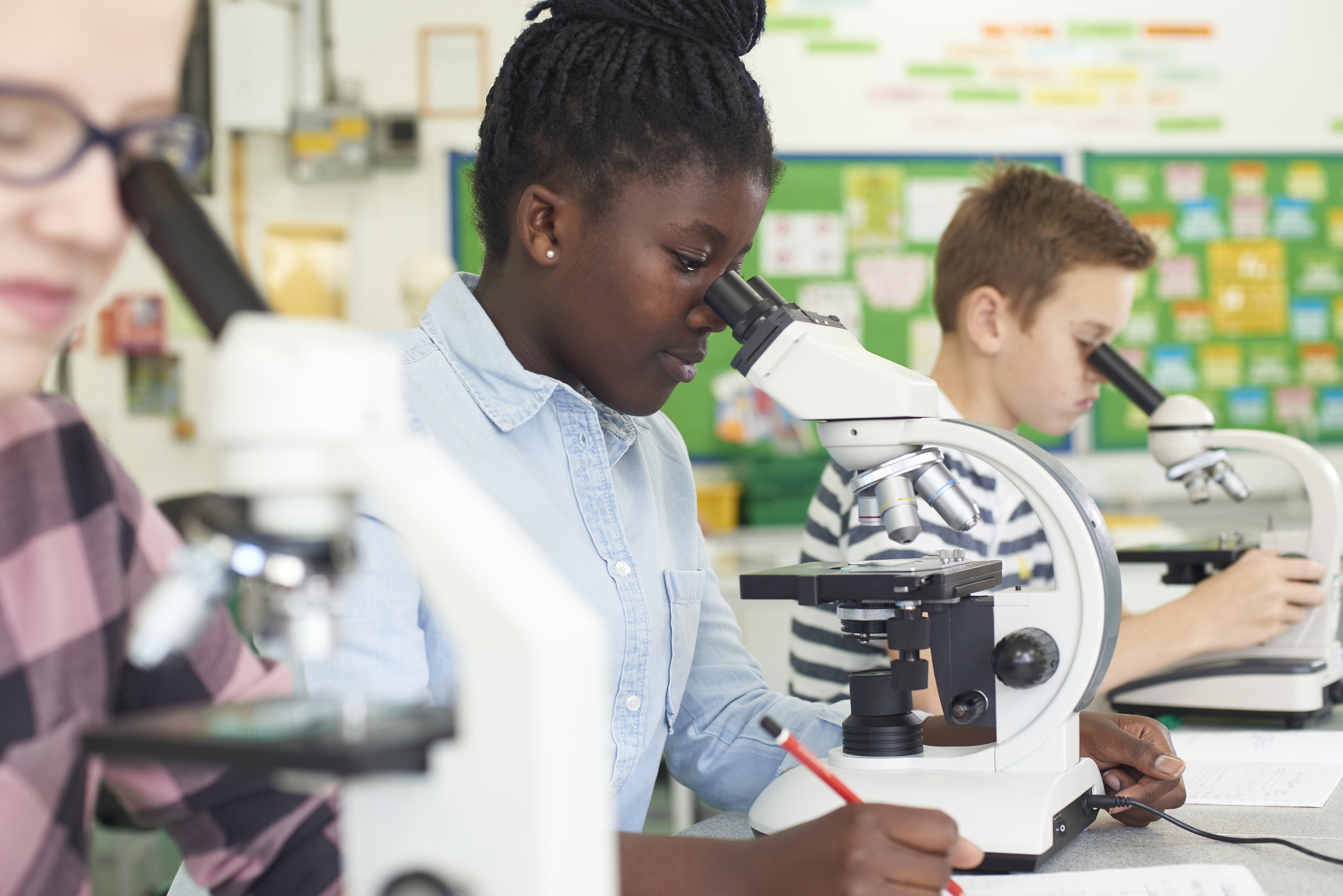 Group of students using microscopes