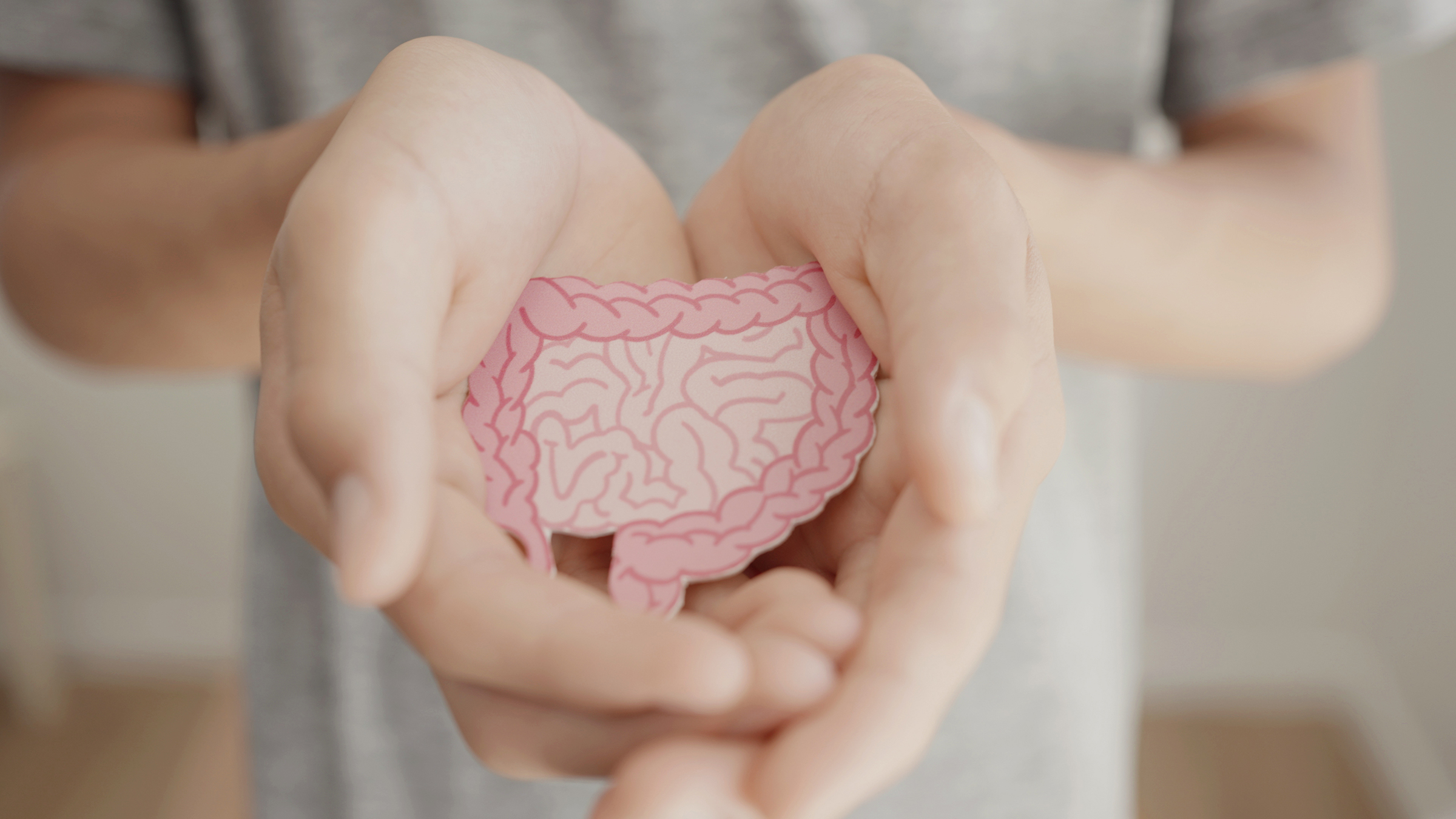 Hand holding intestine shape.